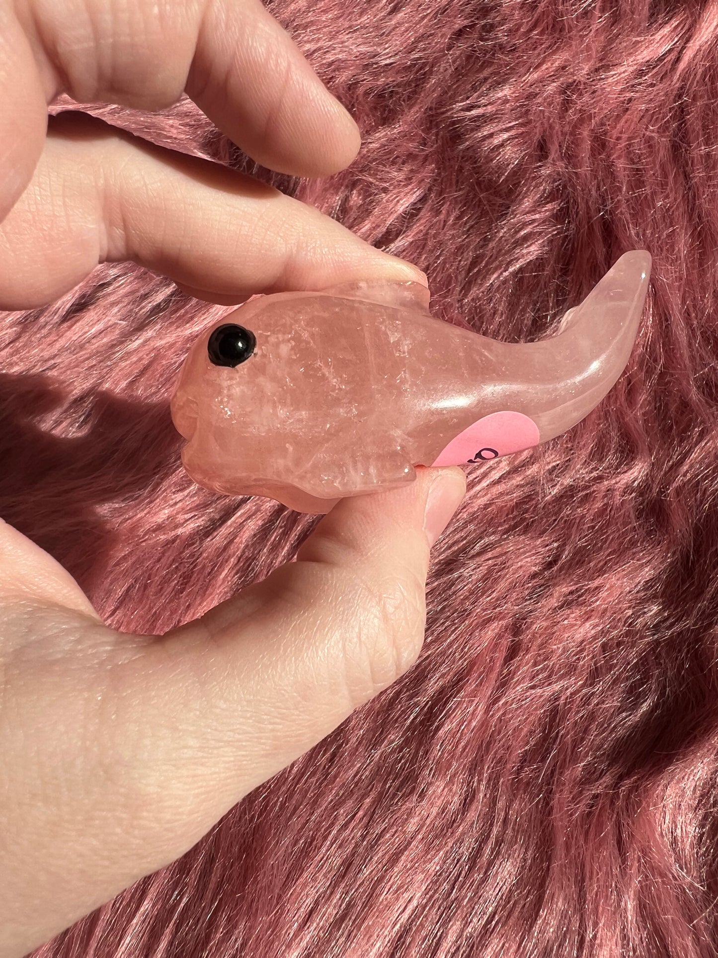 Stunning High Quality Small Rose Quartz Whale Carving