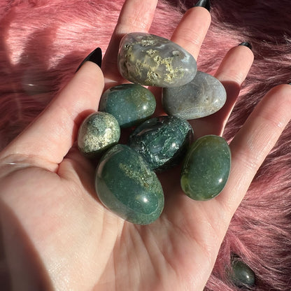 ONE (1) Stunning High Quality Moss Agate Crystal Tumble - Intuitively Picked