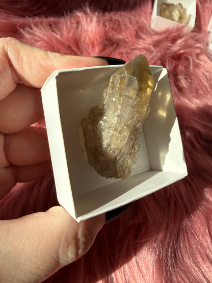 Stunning Natural Congo Citrine Medium - Inuitively Selected