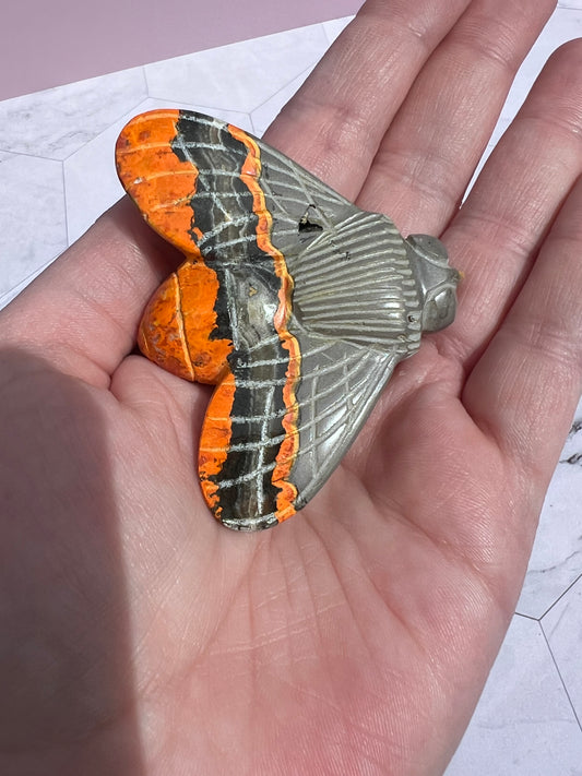 ONE (1) Stunning Bumblebee Jasper Cicada Carving