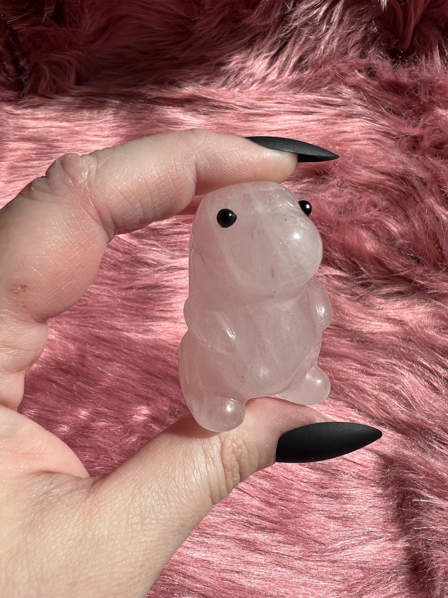 ONE (1) Stunning High Quality Kawaii Chunky Dino Dinosaur Carving