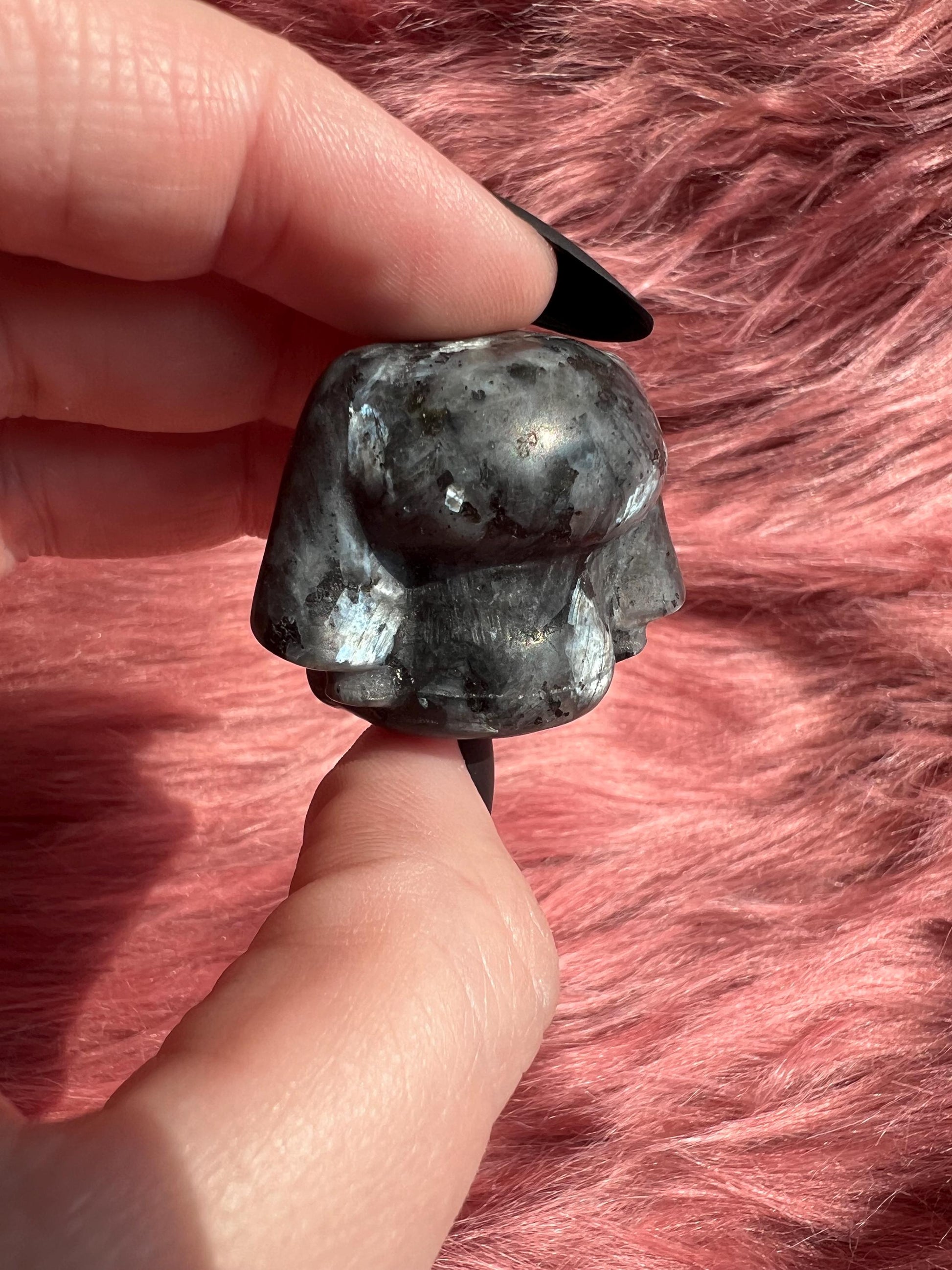 ONE (1) Stunning High Quality Small Cinnamaroll Dog Carving