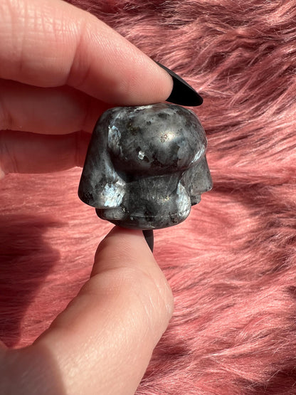 ONE (1) Stunning High Quality Small Cinnamaroll Dog Carving