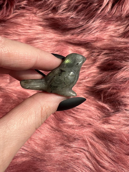 ONE (1) Stunning High Quality Small Songbird Sparrow Carving