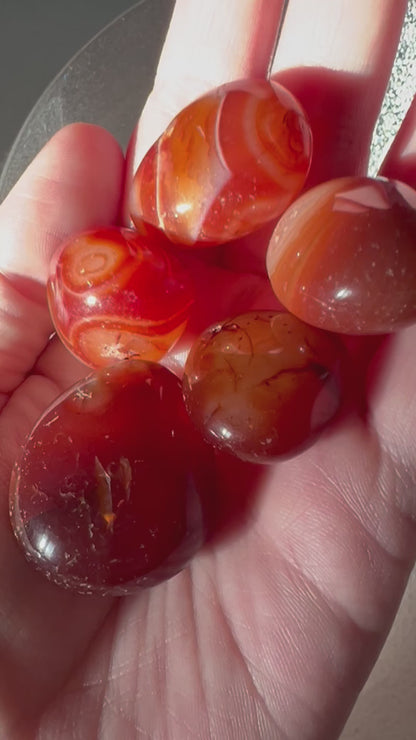 Stunning Carnelian Crystal Tumbles in natural sunlight