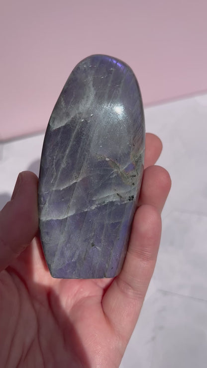 ONE (1) Stunning Flashy Purple Labradorite Freeform (42)