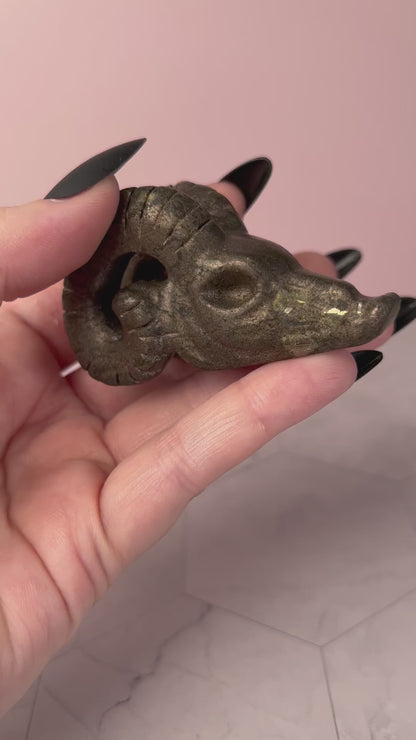 ONE (1) Stunning High Quality Pyrite Ram Skull