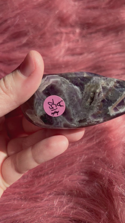 ONE (1) Stunning Dream Amethyst Otter Crystal Carving - A