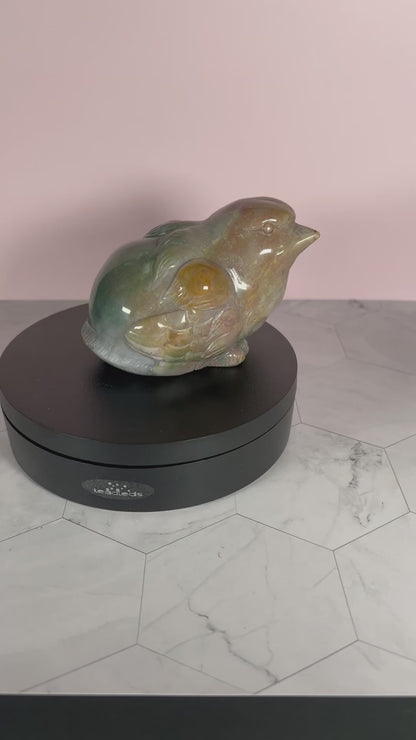 ONE (1) Stunning High Quality Sea (Ocean) Jasper Hand Carved Bird